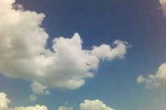 slr38_28_20070612_2074800420